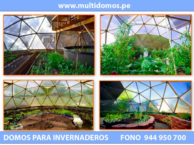 domos para invernaderos peru 1